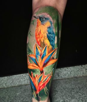 503806219_1759296771354519_5093775875365554473_n