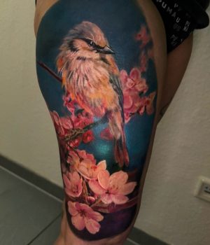 509753403_18391173046139346_8737093668423624799_n